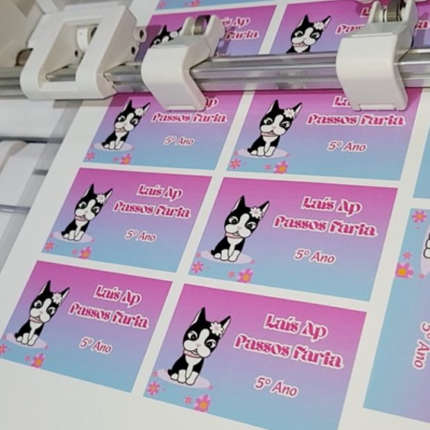 Produto personalizado feito pela Aline